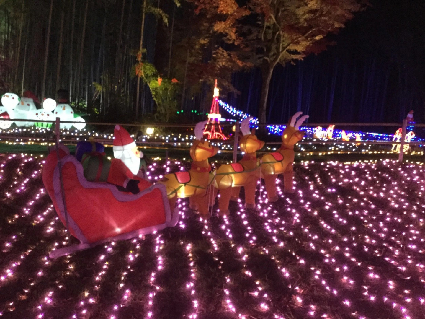 Green-House Yumeyado