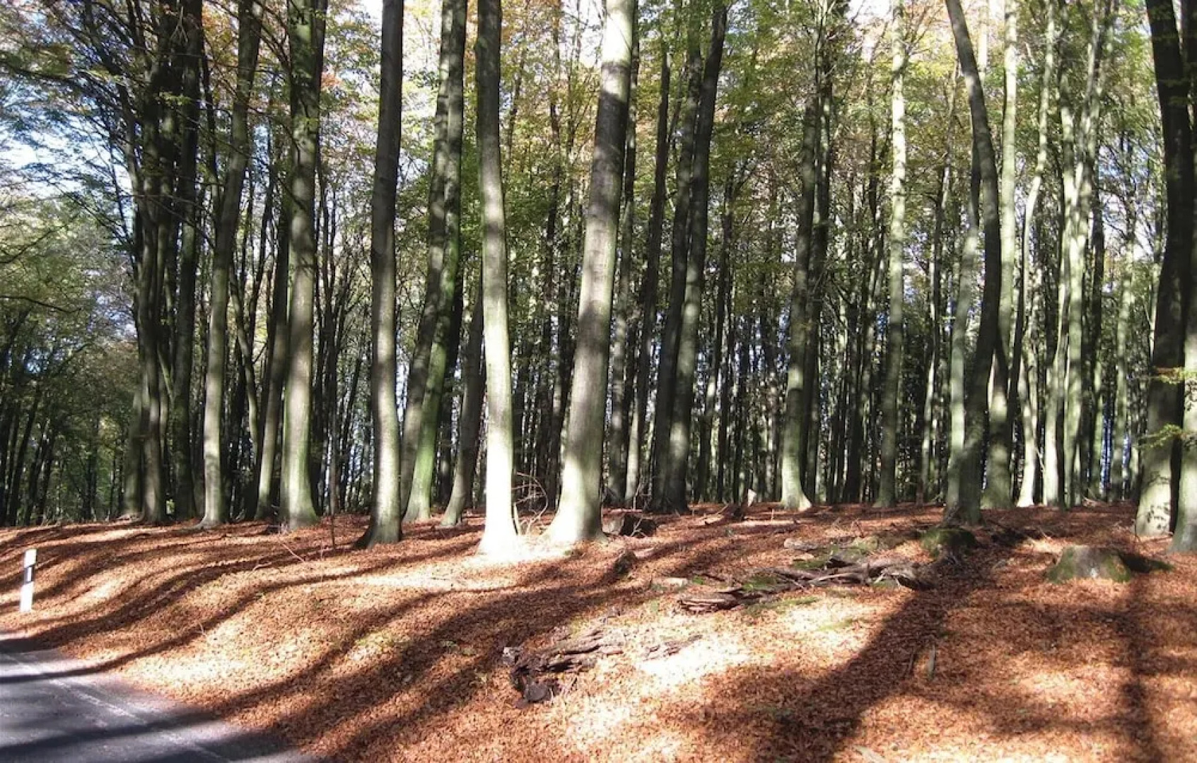 Stunning Apartment in Sagard With 2 Bedrooms and Wifi