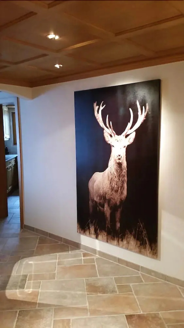 Luxury Flat in Saanenmöser