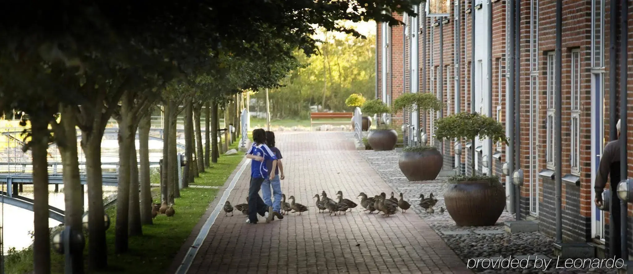 Ribe Byferie Resort