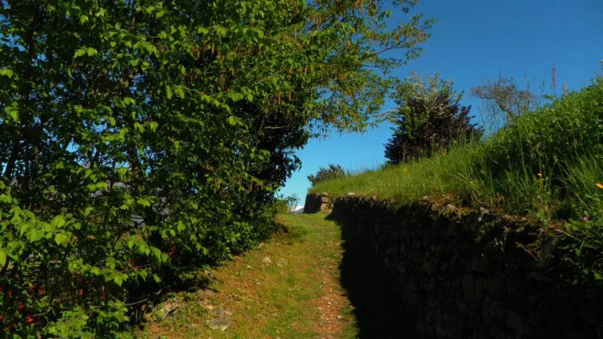 Balcony Lake View Apartment