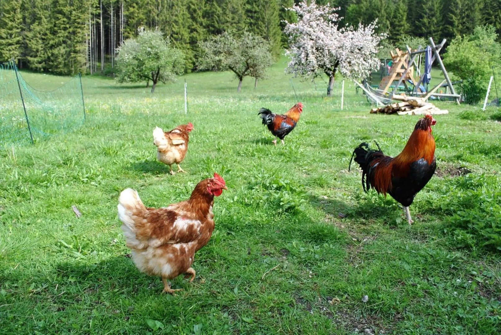 Ferienwohnung Leitner