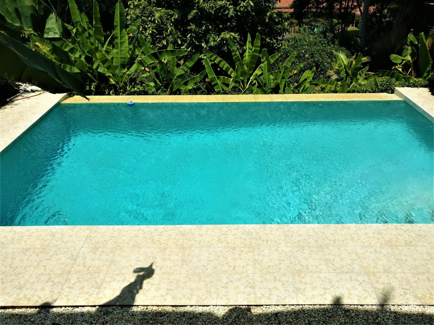 Tobago Hibiscus Golf Villas & Appartments