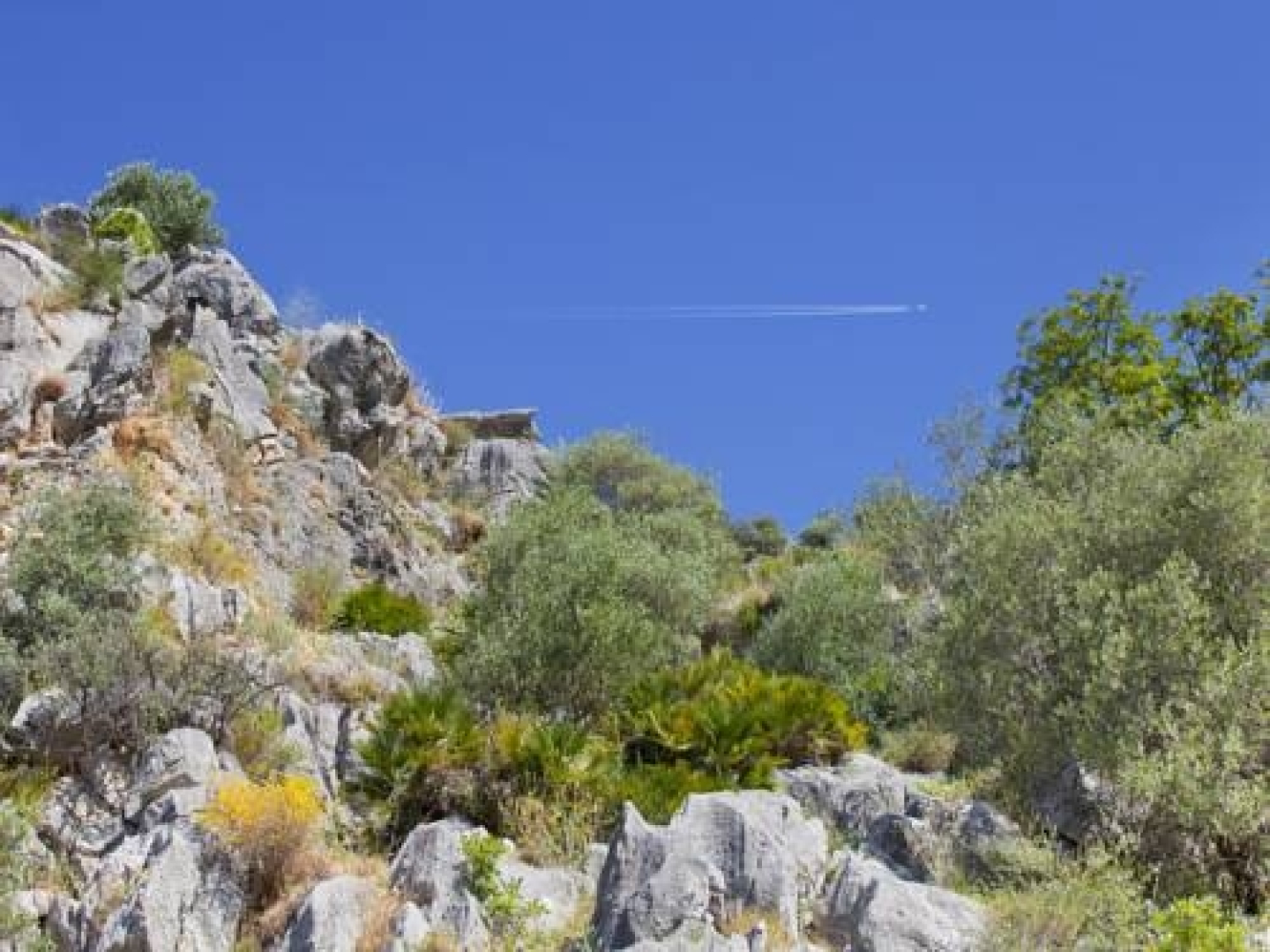 Hotel Rural Molino del Puente Ronda
