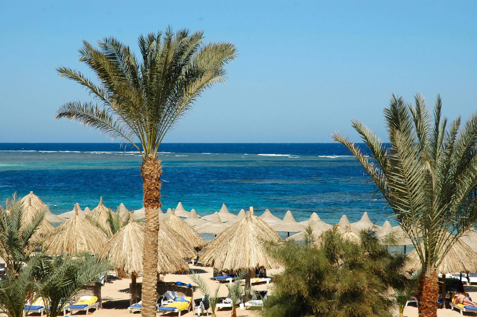 Utopia Beach Club