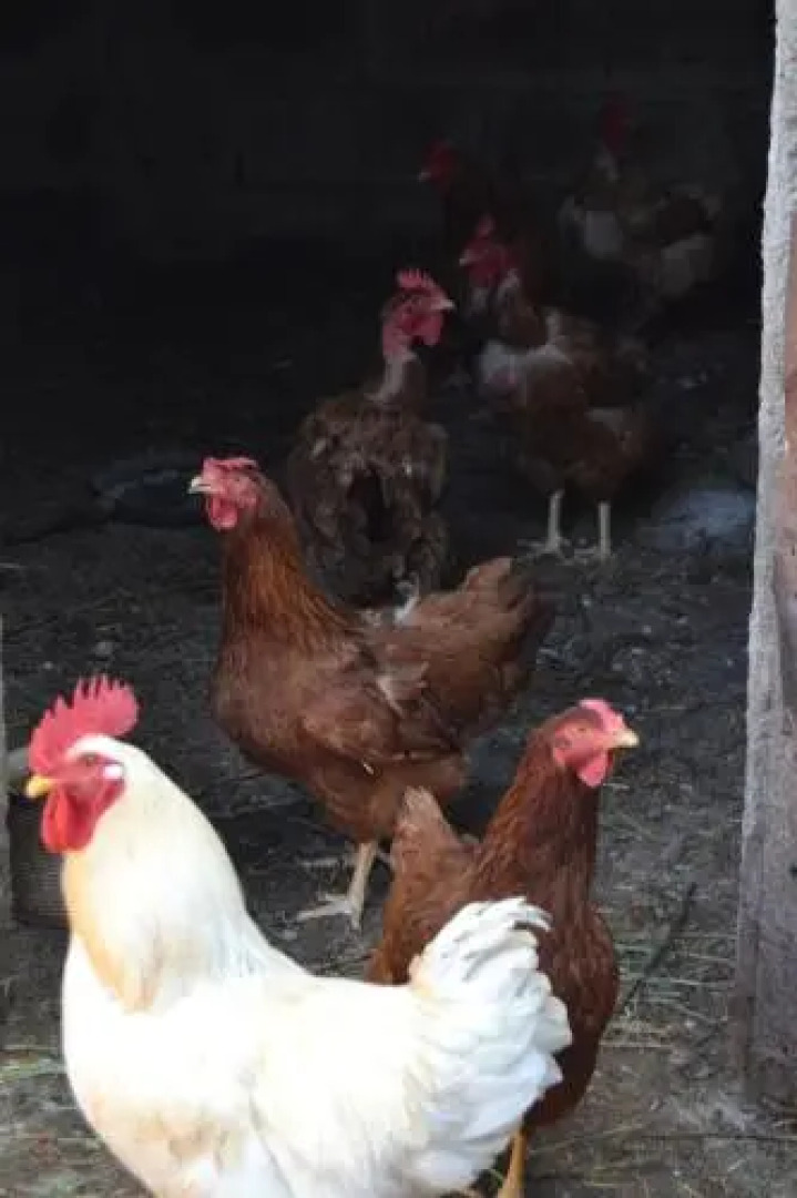 Agriturismo La Querce