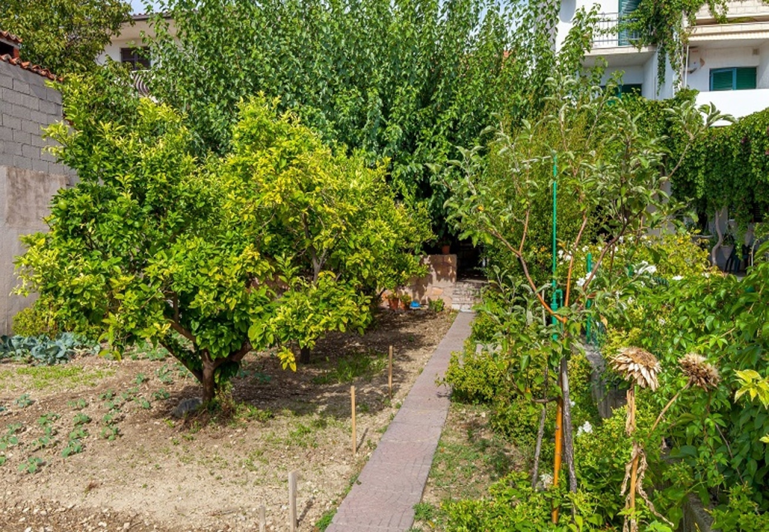 Holiday house Zeljka - 60 m from sea: Podstrana, Riviera Split