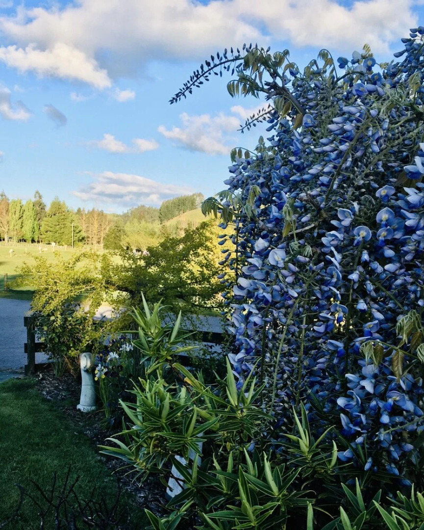 Orchard View FarmStay Retreat