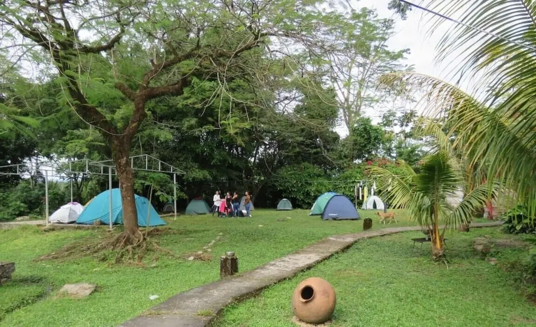 Hotel Mirador Villa Tunari - Hostel