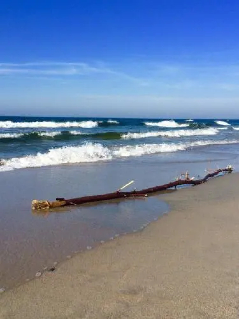 Гостевой дом Рай Пруссии