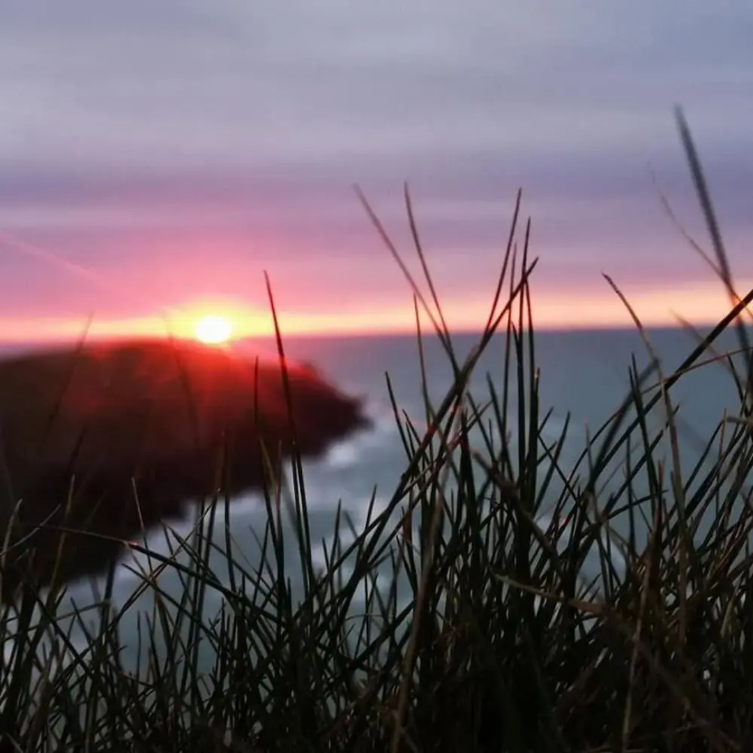 Cosy Shepherds Hut nr Kynance Cove