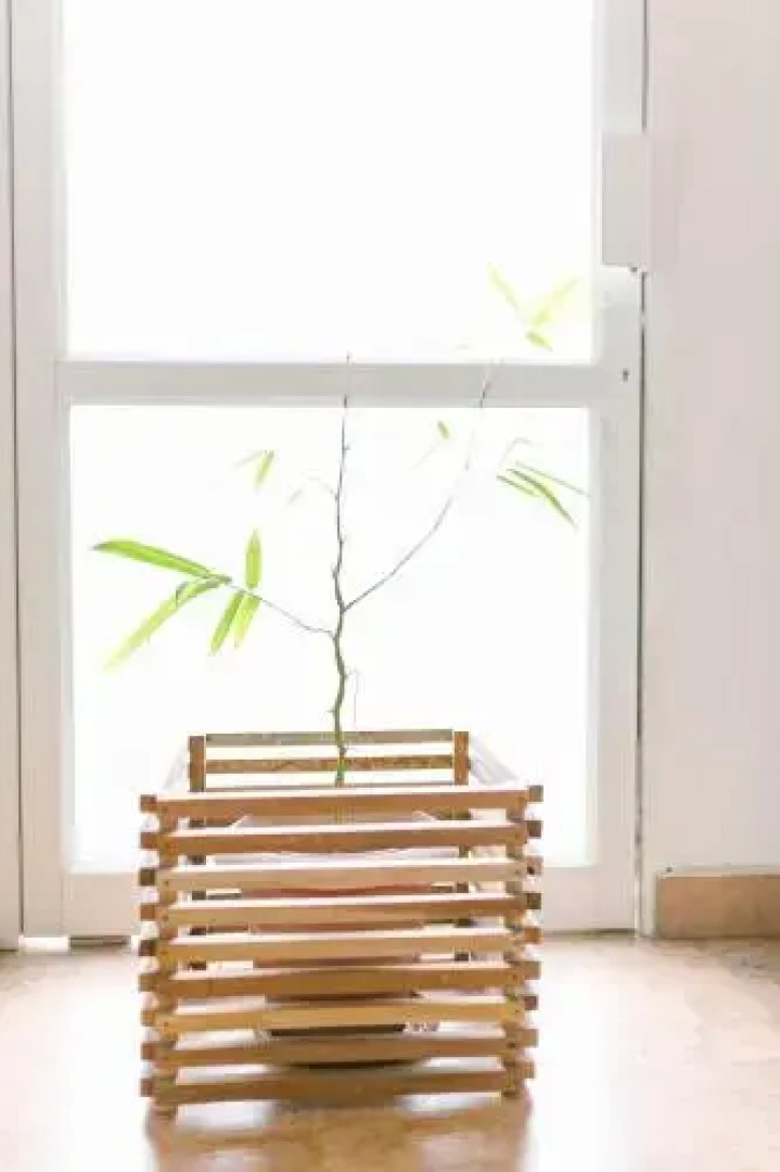 The Nisha Continental