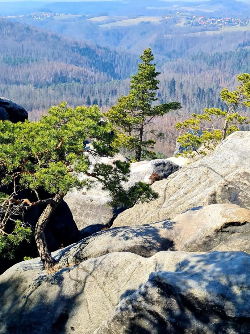 Villa Nevada - Adults only