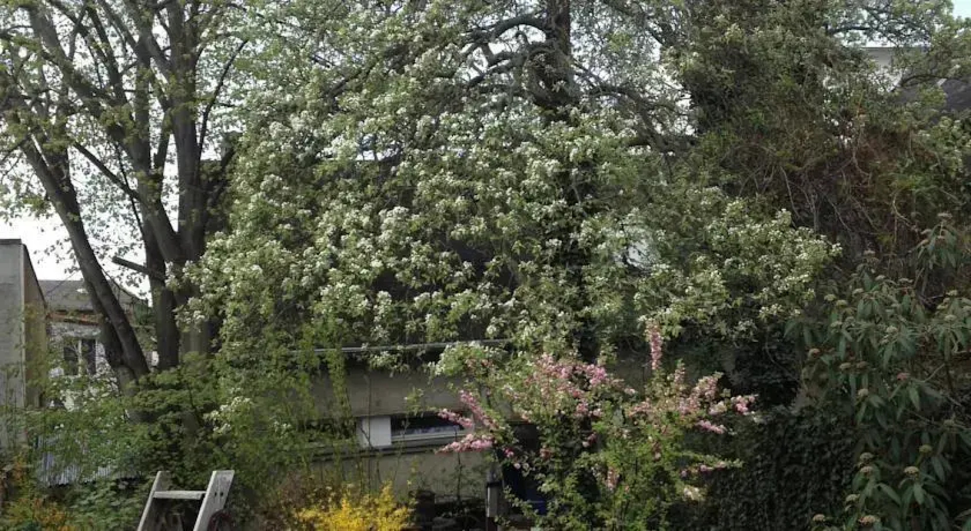 Antik - Pension Birnbom