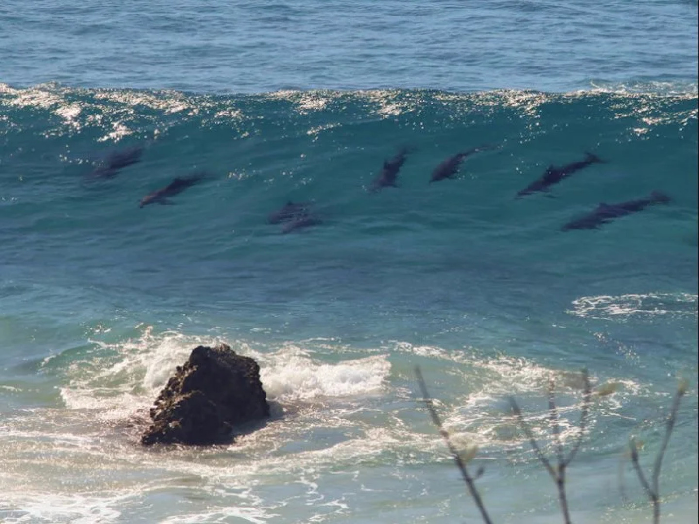 Four Winds Luxury Villas