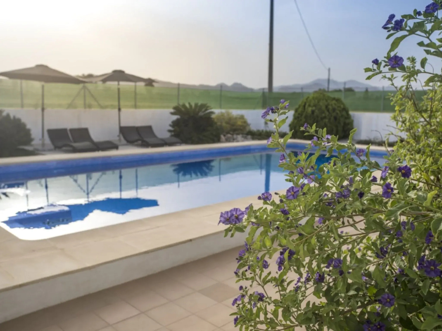 Comfortable apartment in Murcia with garden