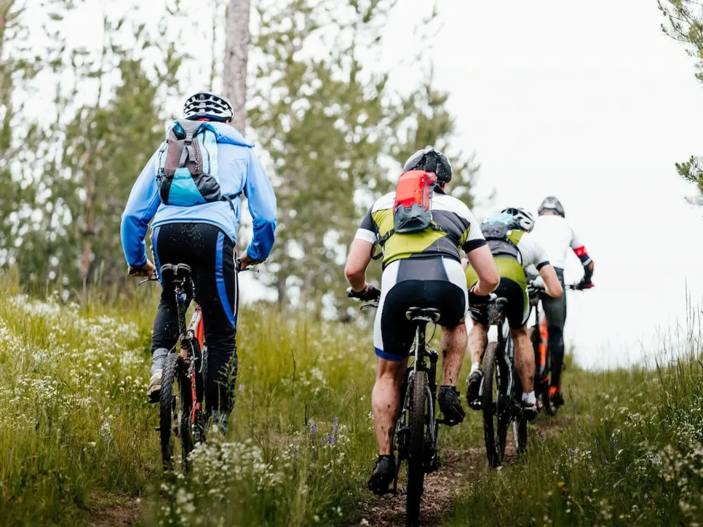 Les Tables Aux Vaches