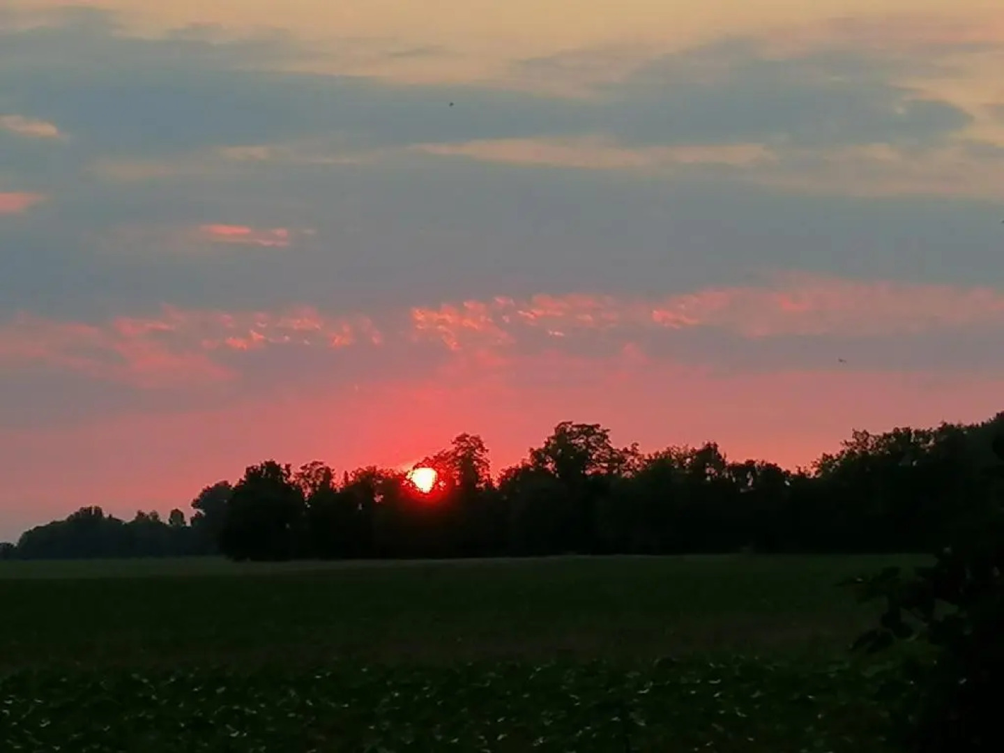 Zum Urlaub im Grünen