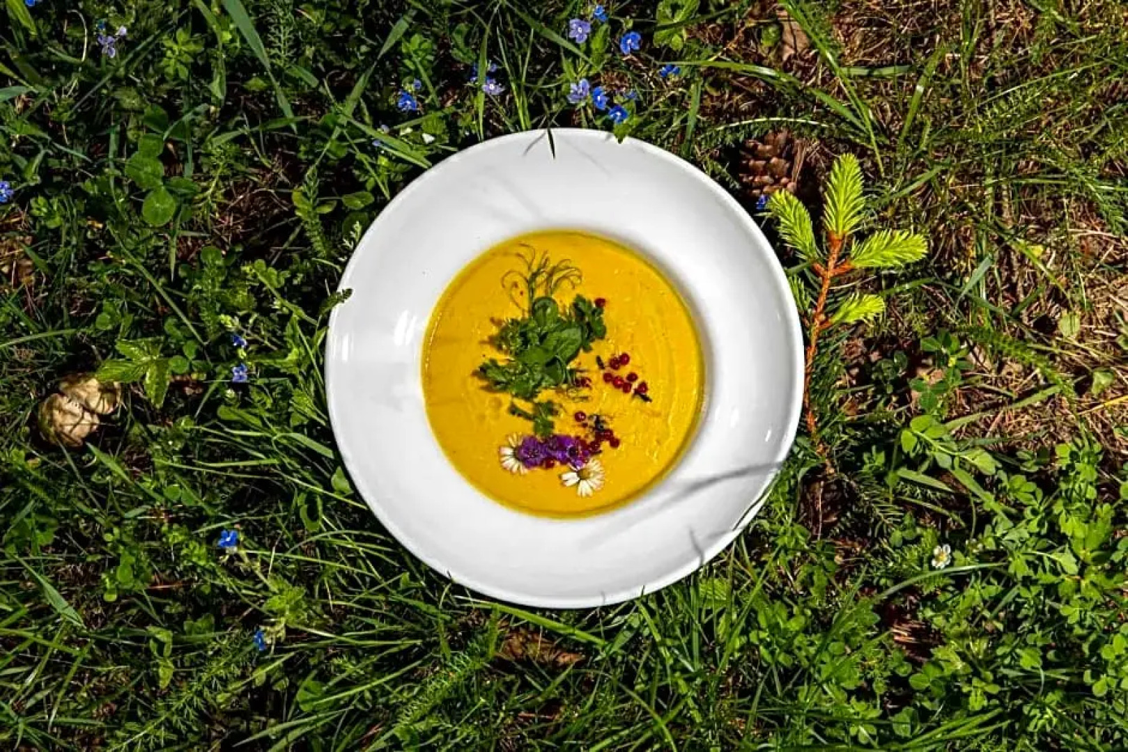 Zámecký Hotel Třešť