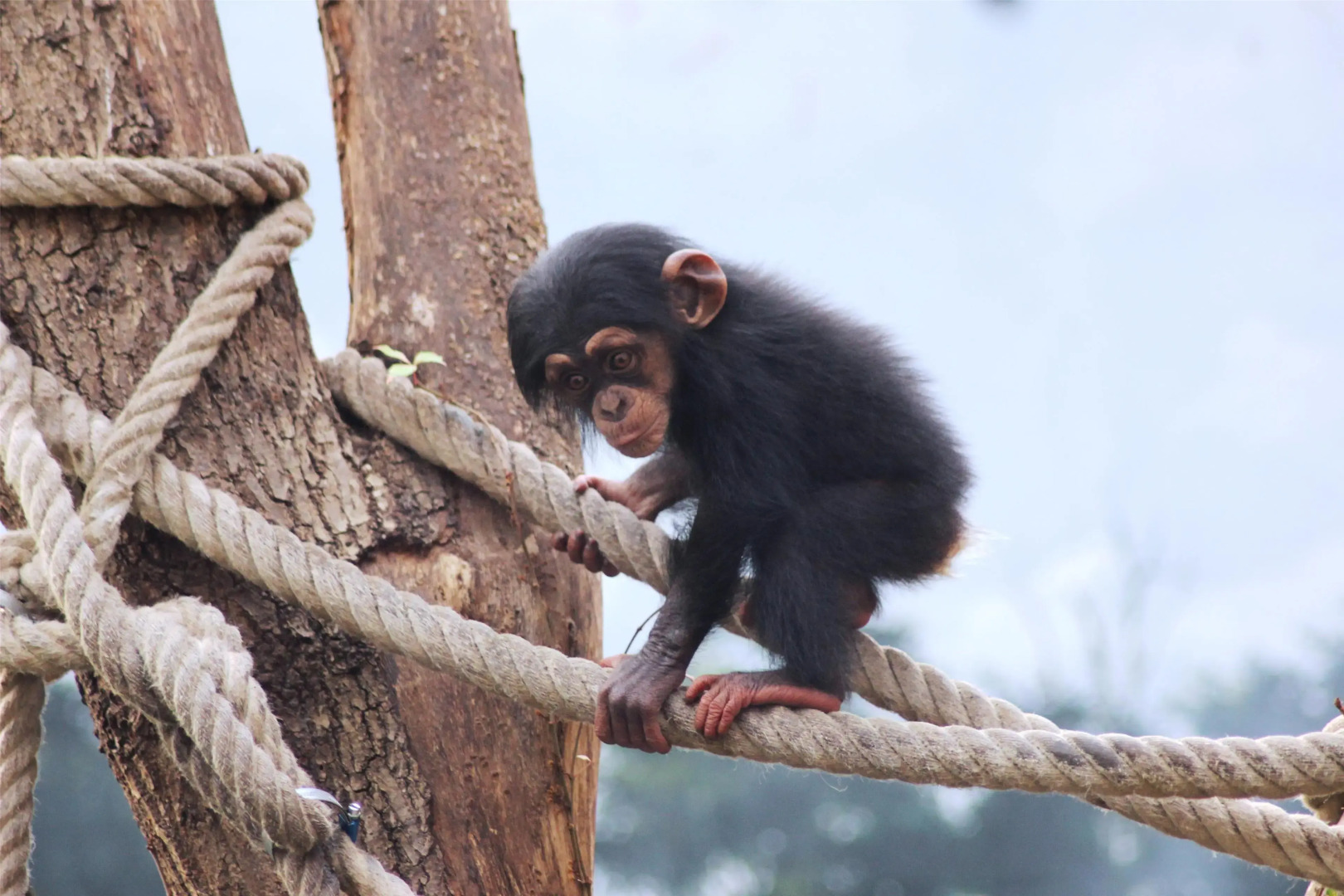 Best Western Hotel Hohenzollern