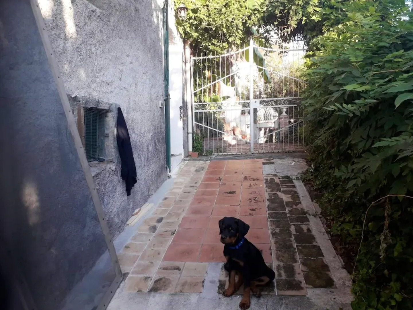 Apartment with One Bedroom in Gaggi, with Furnished Terrace - 11 Km From the Beach