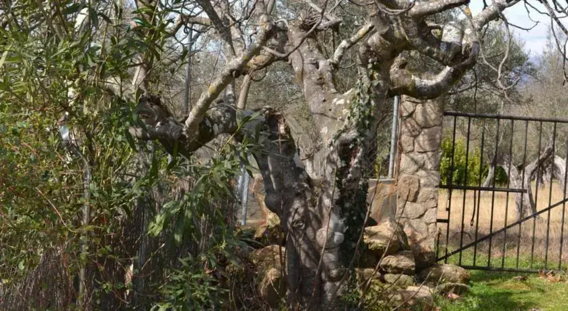 Casa Garganta Cuartos