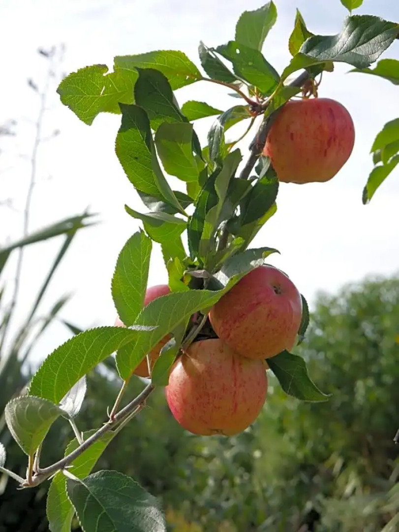Aston Road Villa Bed And Breakfast