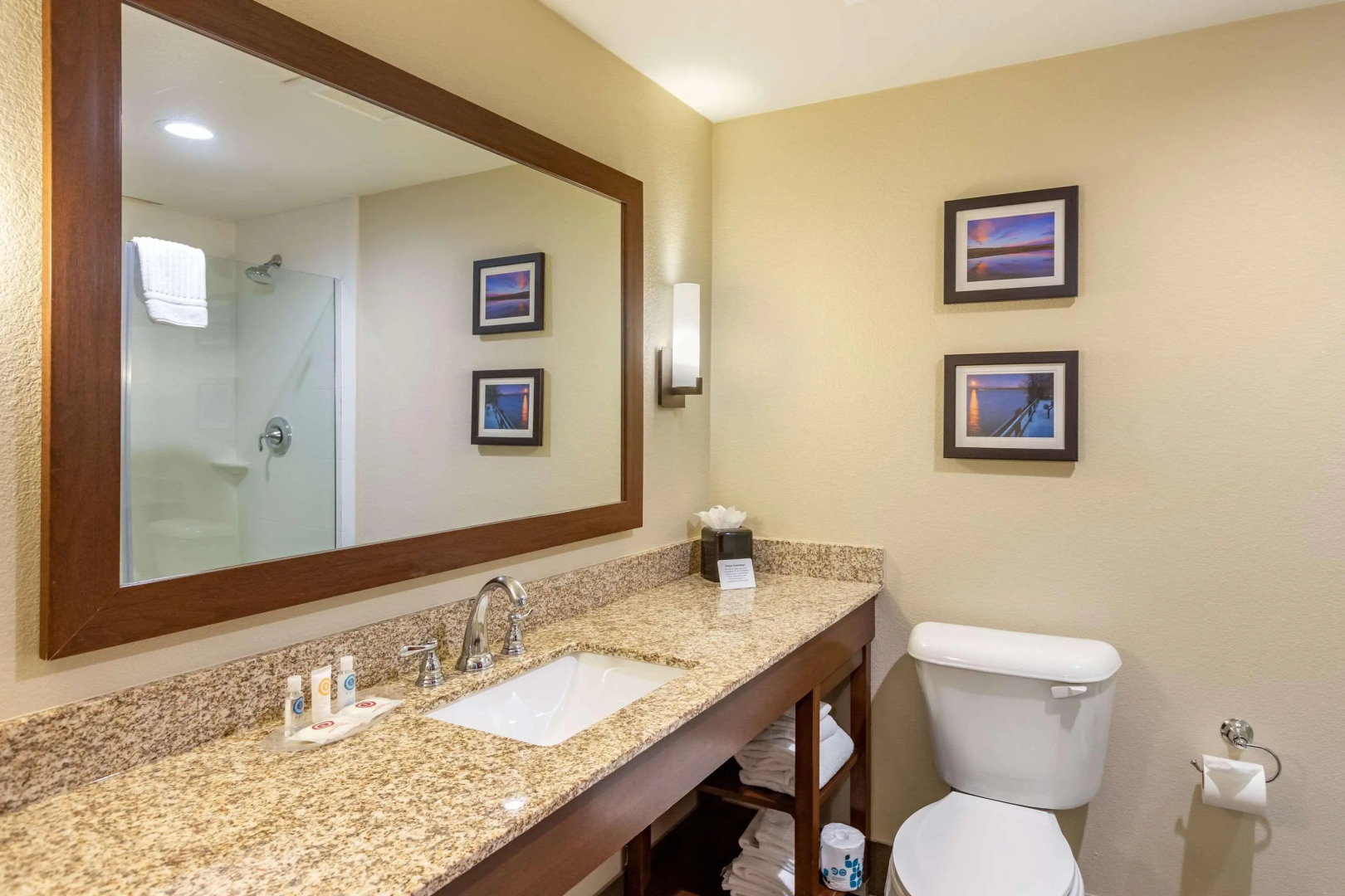 Comfort Suites Near Denver Downtown