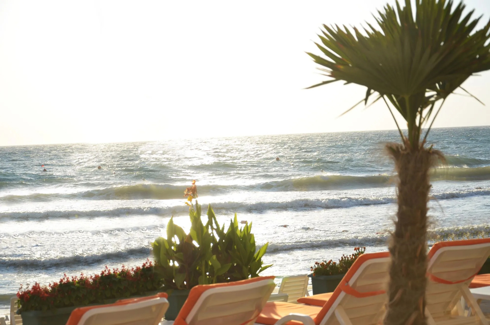 Ladies Beach Suit Otel