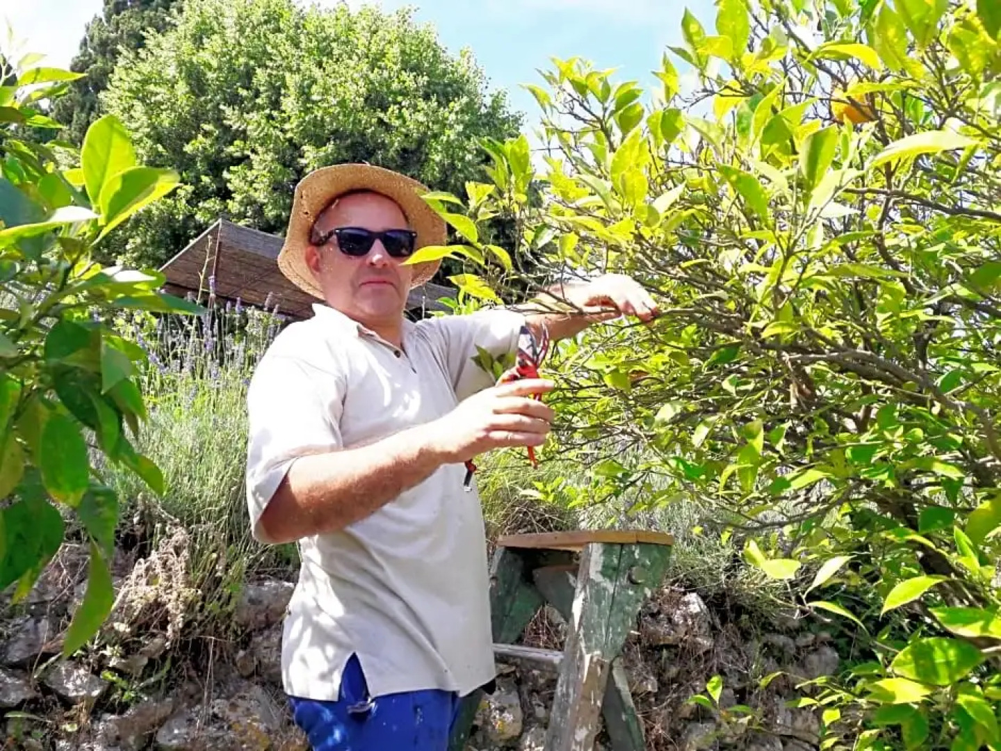 Holidays in Provence Alpes Maritimes