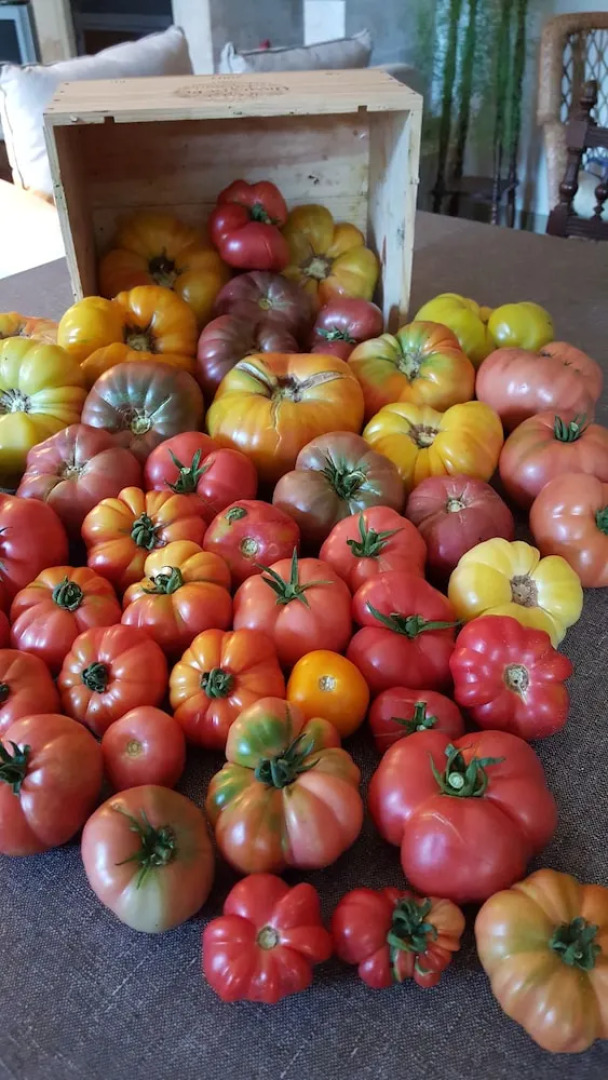 Maison d'hotes de Charme Les Bruhasses