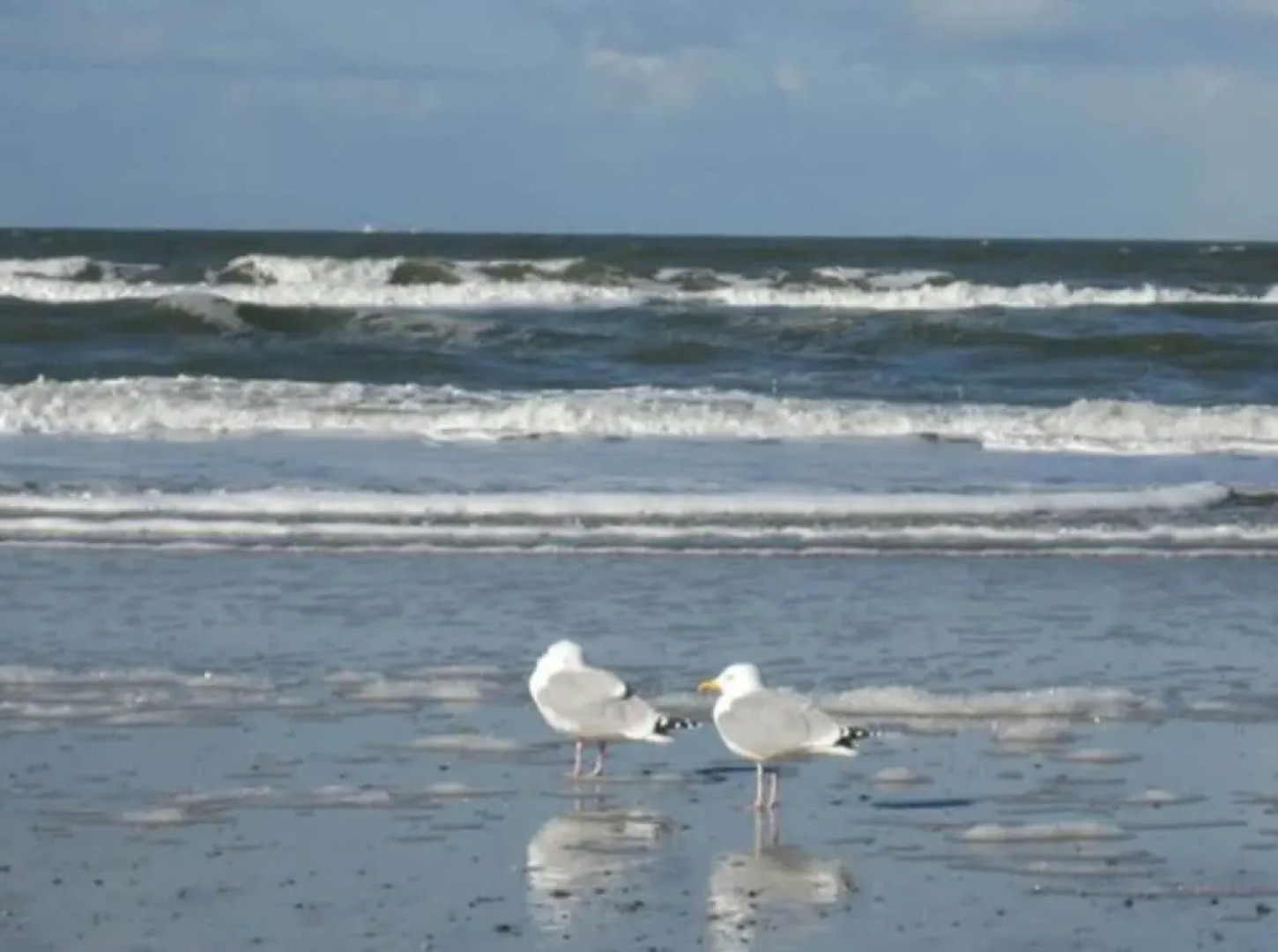 Ringhotel Residenz Wittmund