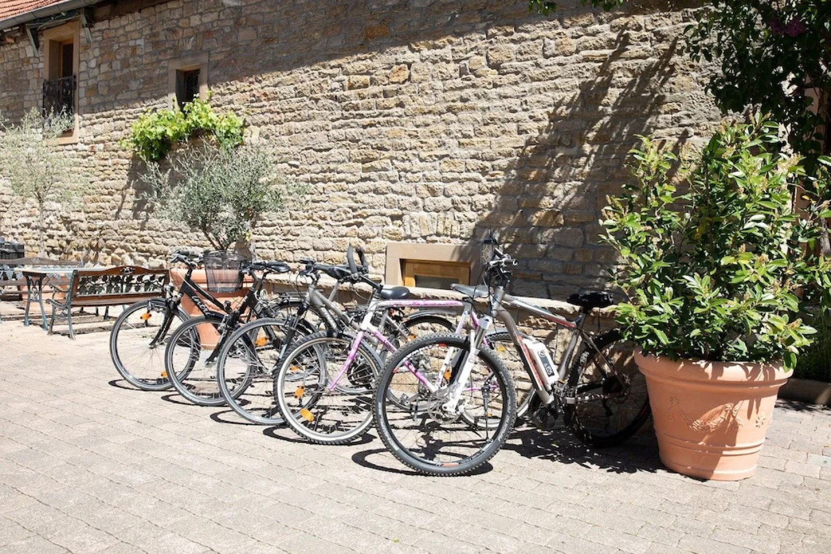 Tullius – Die Rebmeisterei