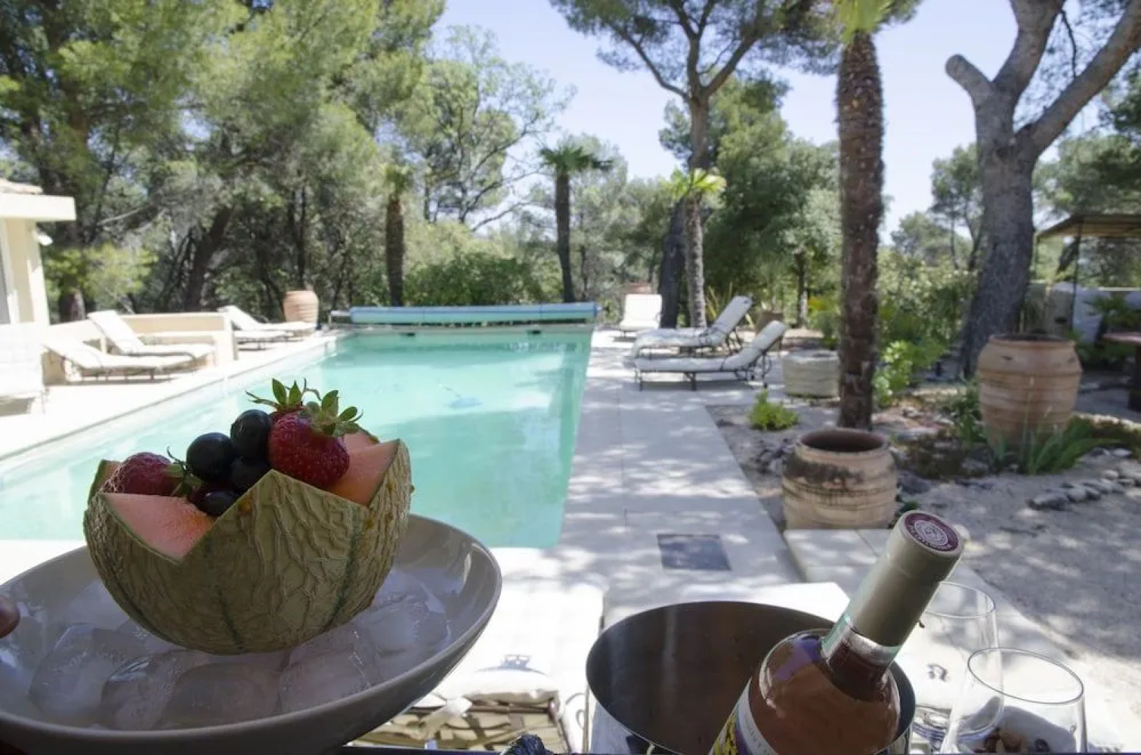 L’Éléphant de Vaugines