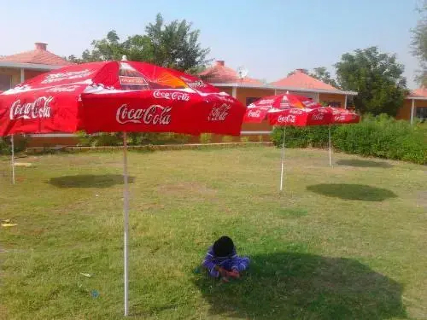 Desert Safariors Camps