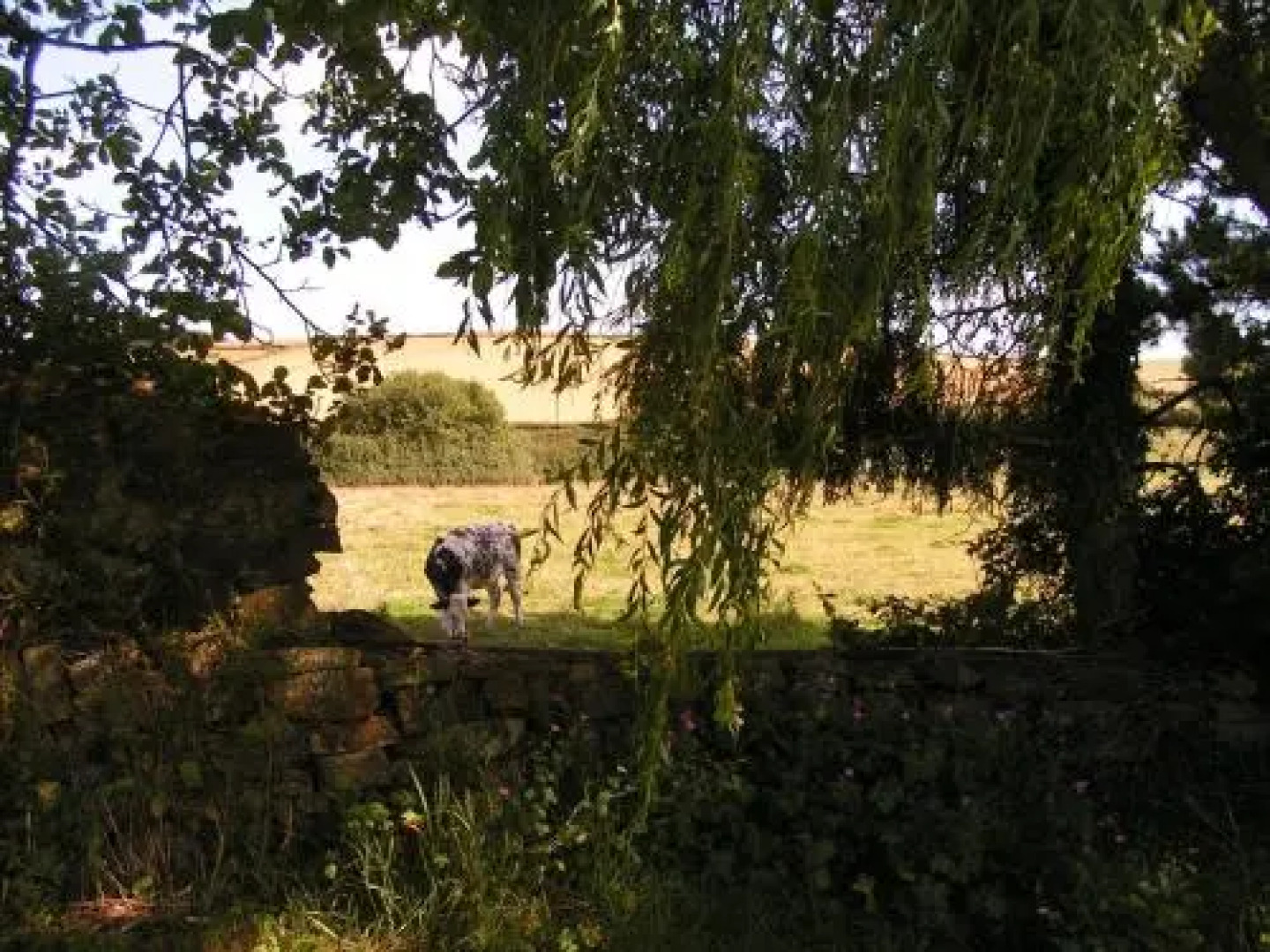 The Pines At Eastleigh