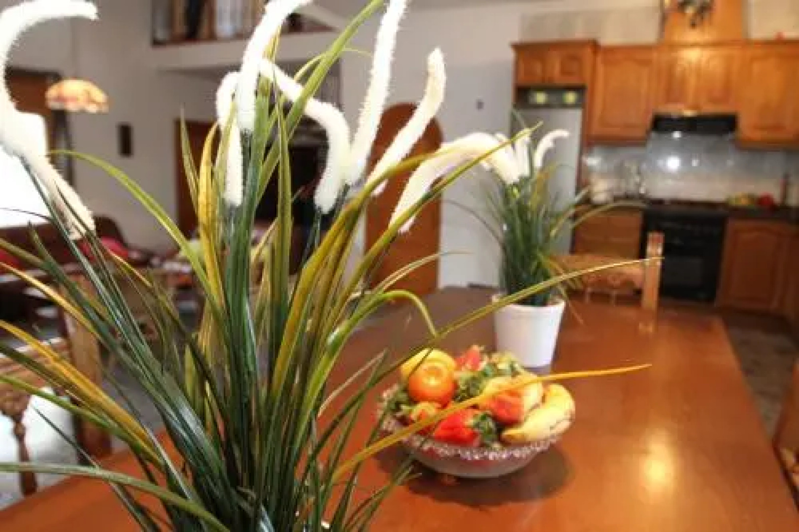 ARENDA Villa Fortuna Miami Playa