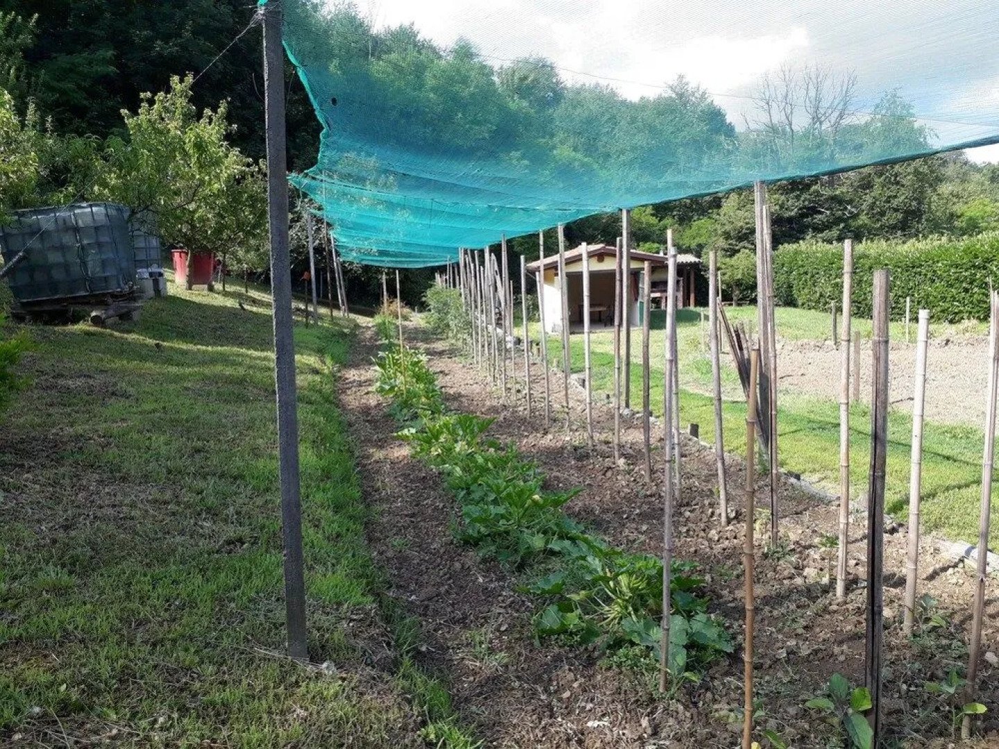 Agriturismo Fattoria Sequoia