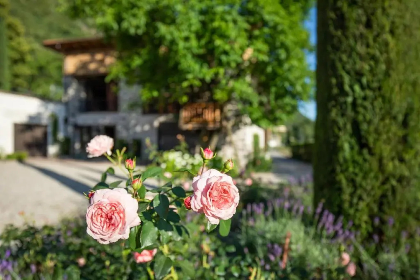 Innerbachlerhof - Gantkofel