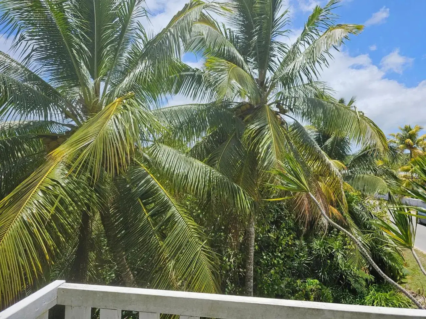 Heleni Jessop's Fatahega