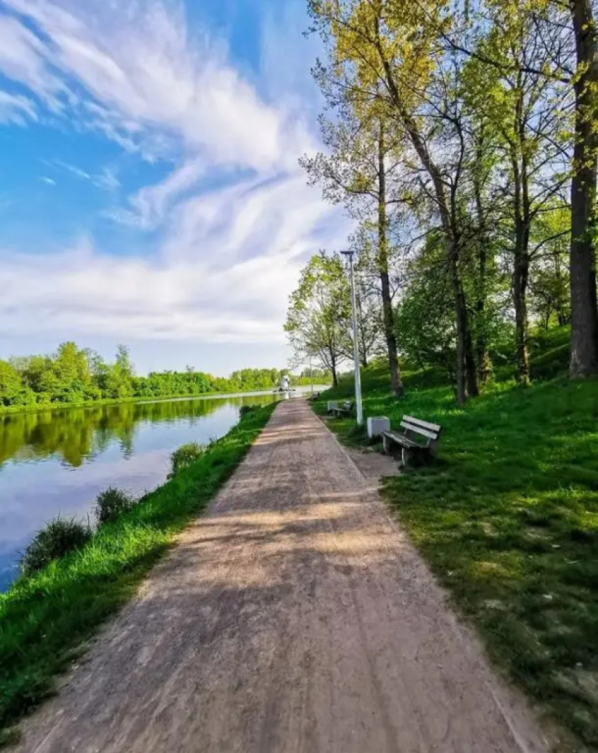 Przytulny apartament na Klonowej 24-hour check-in Zameldowanie całodobowe