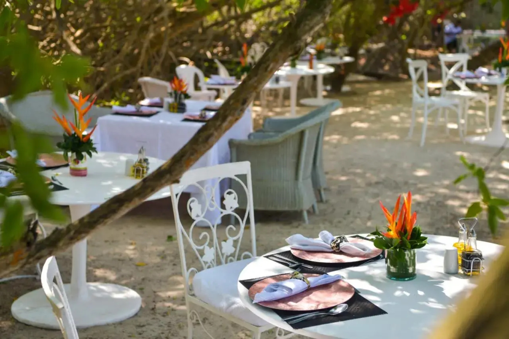 Hotel Coralina Island