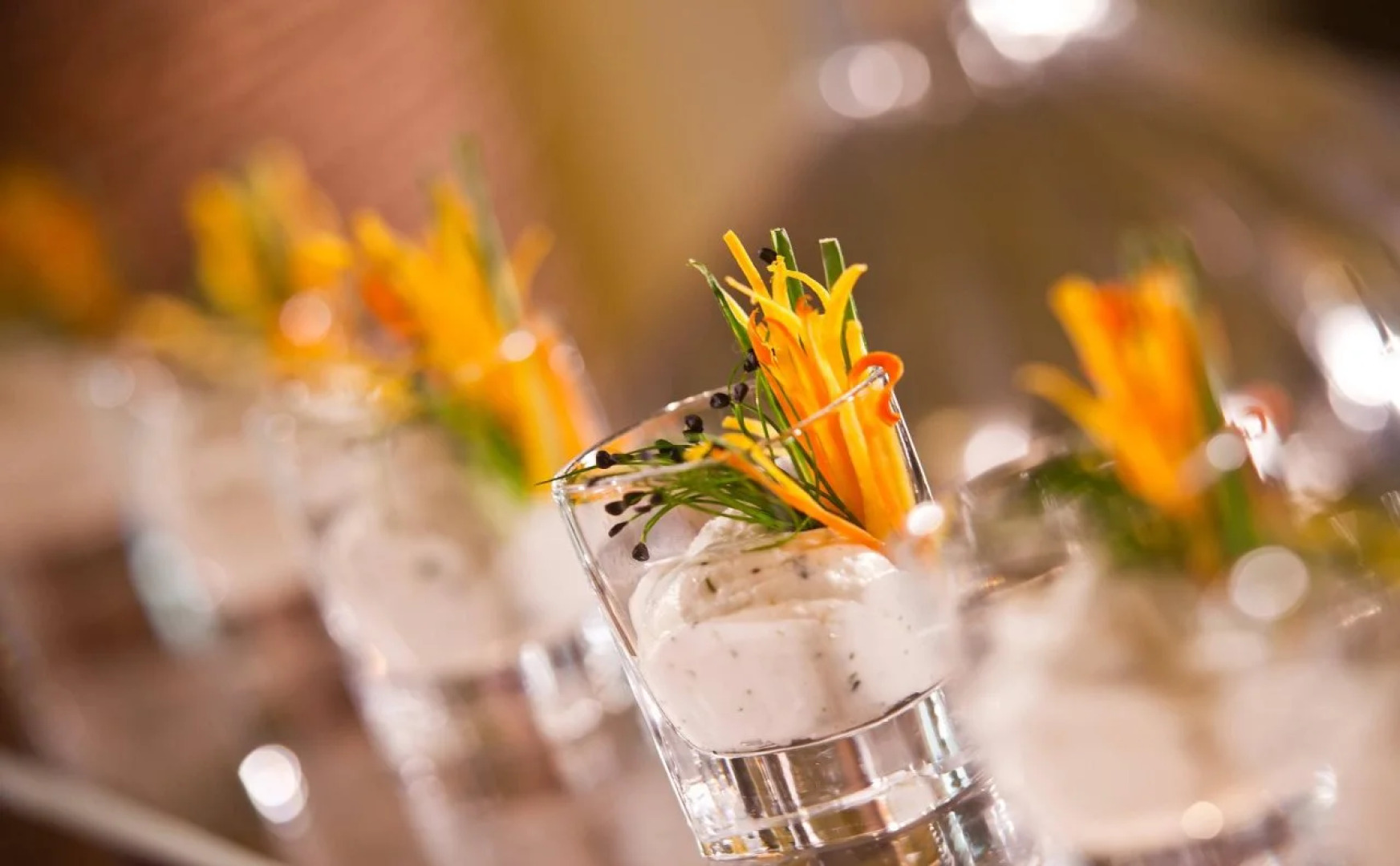 Imperial Riding School, Autograph Collection