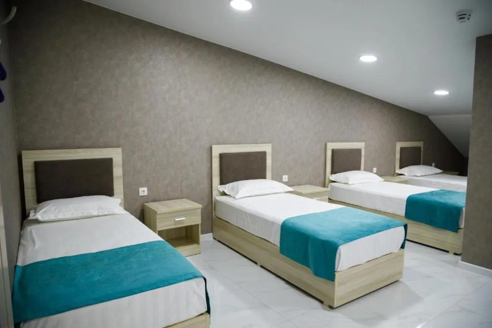 Белая медведица