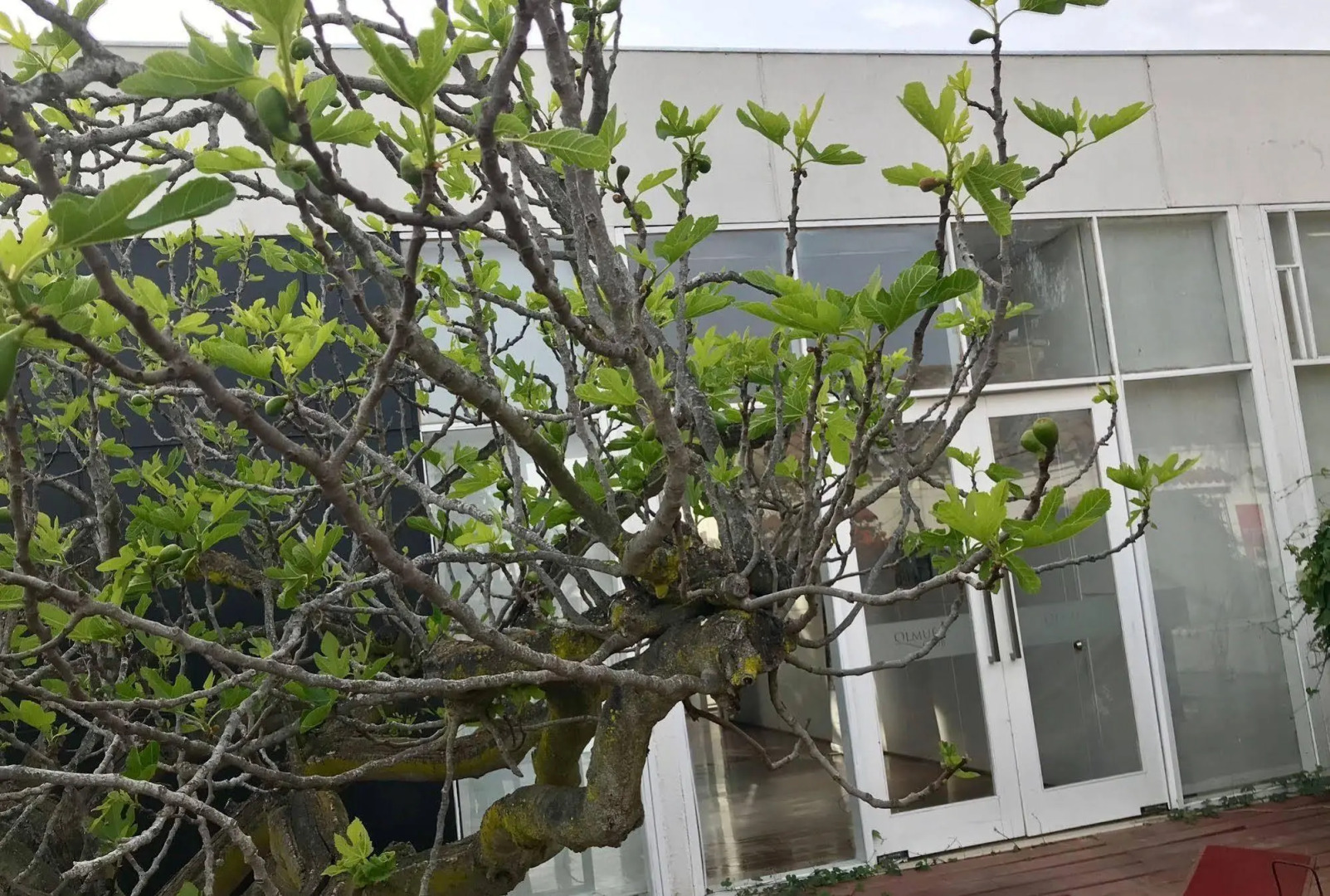 Howard Johnson By Wyndham Olmue