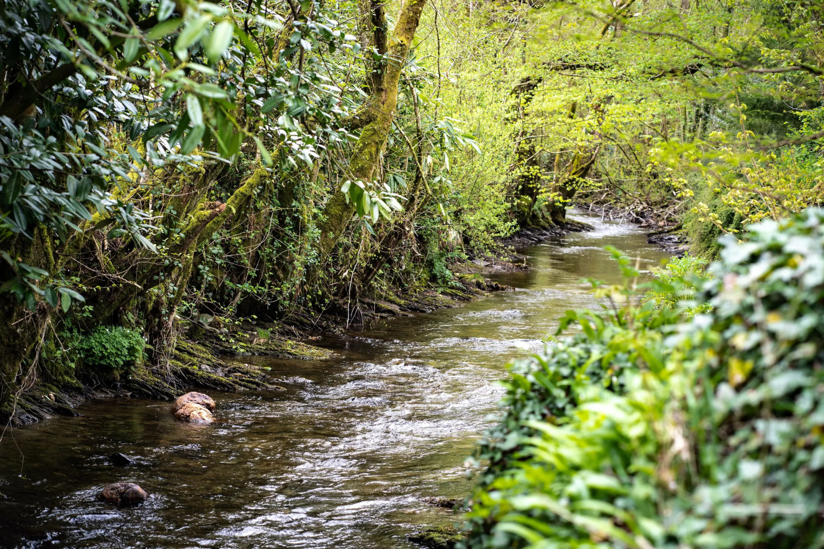 Tŷ Mawr Country Hotel