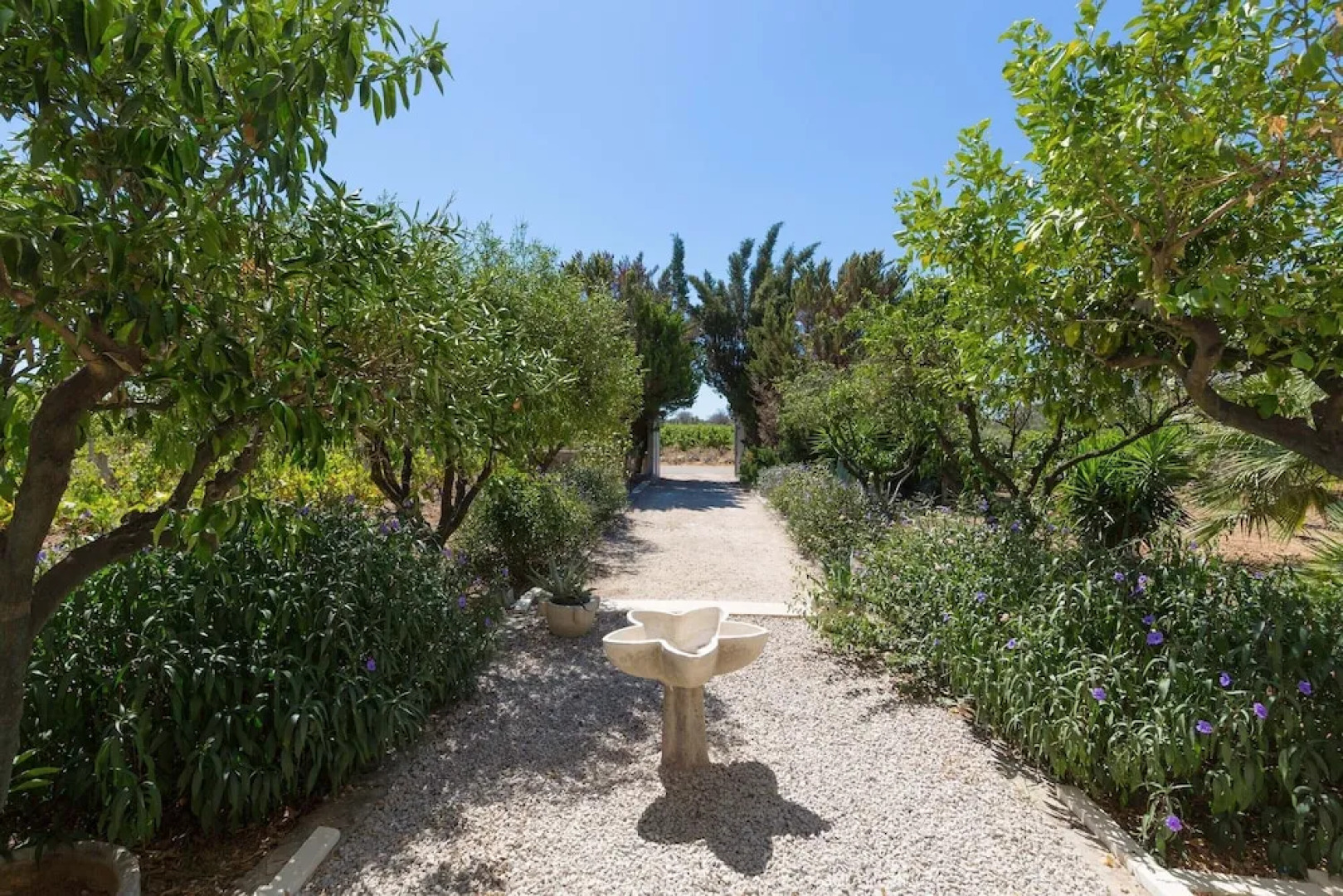 2090 La Terrazza del Salento