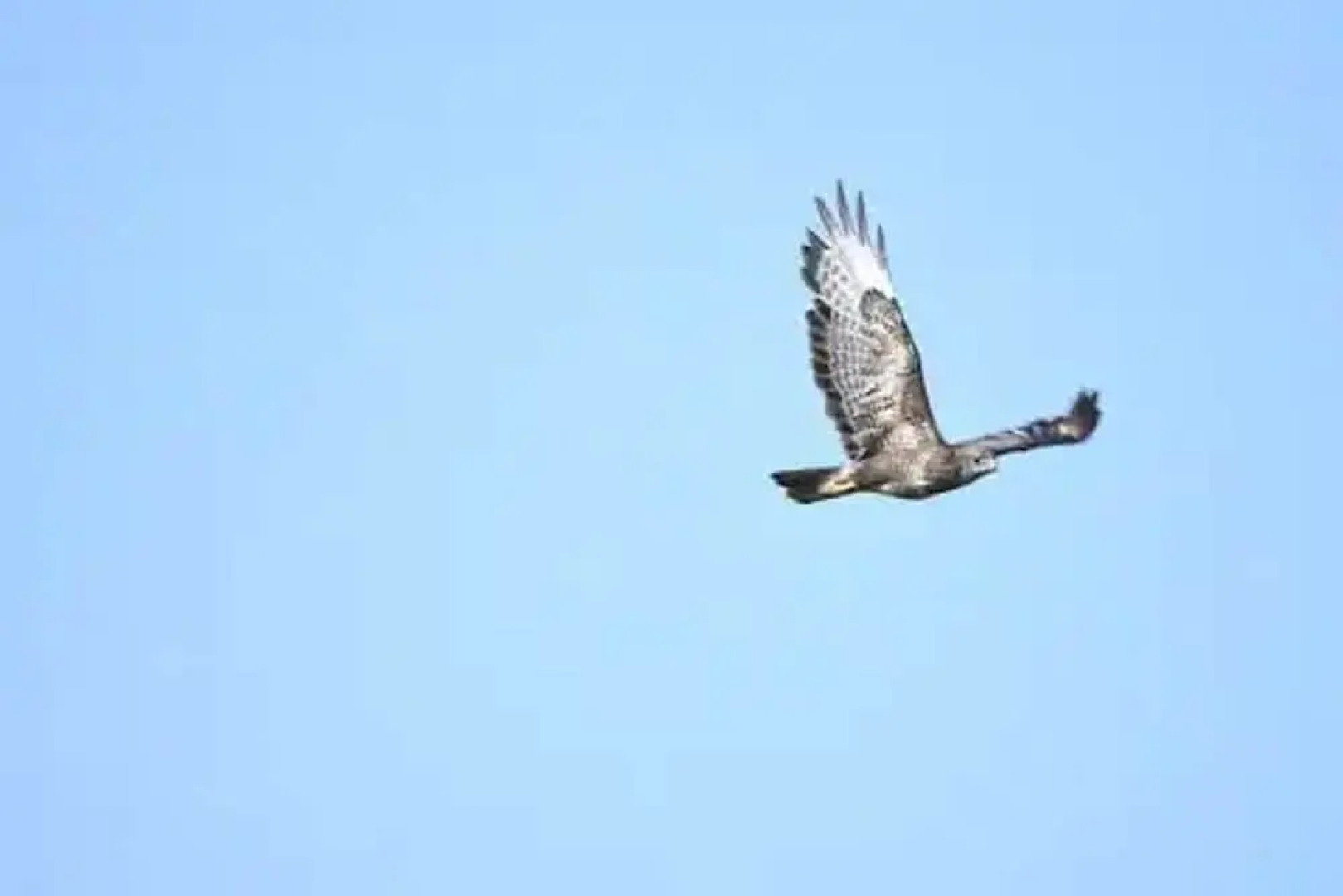 Peaceful Cabin in Skegby -sleeps2- Firer Pit