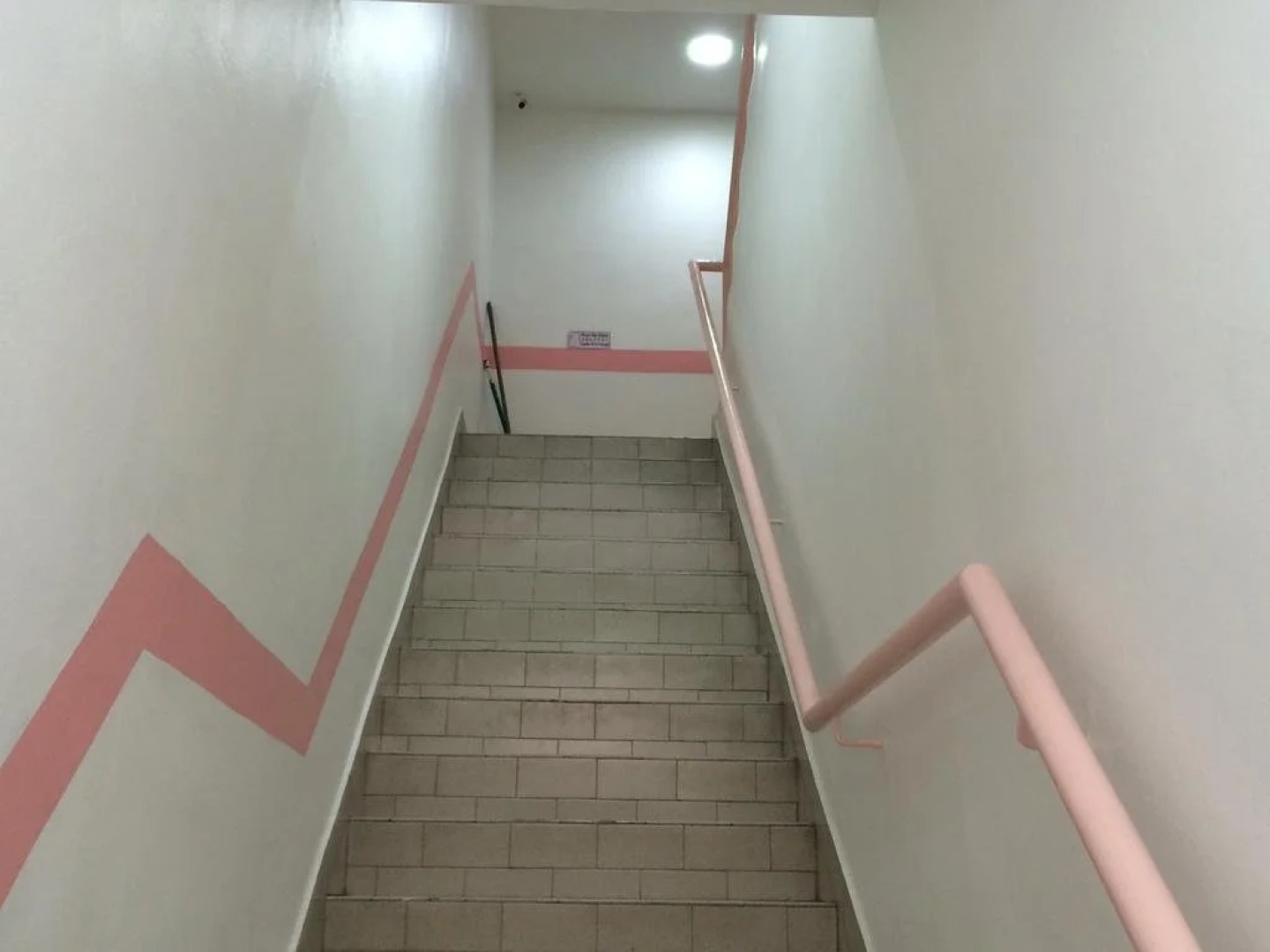 Lazy Bear Sleeping Place