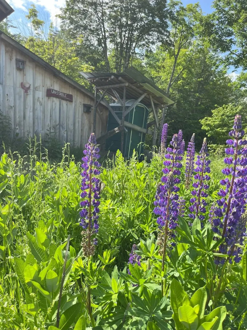 Streeter Mountain Farm
